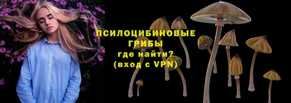 гидра Баксан