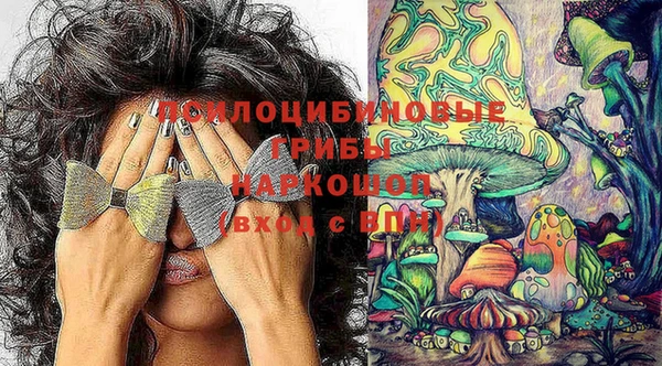 гидра Баксан